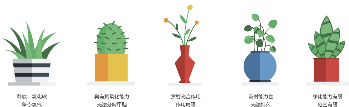 植物